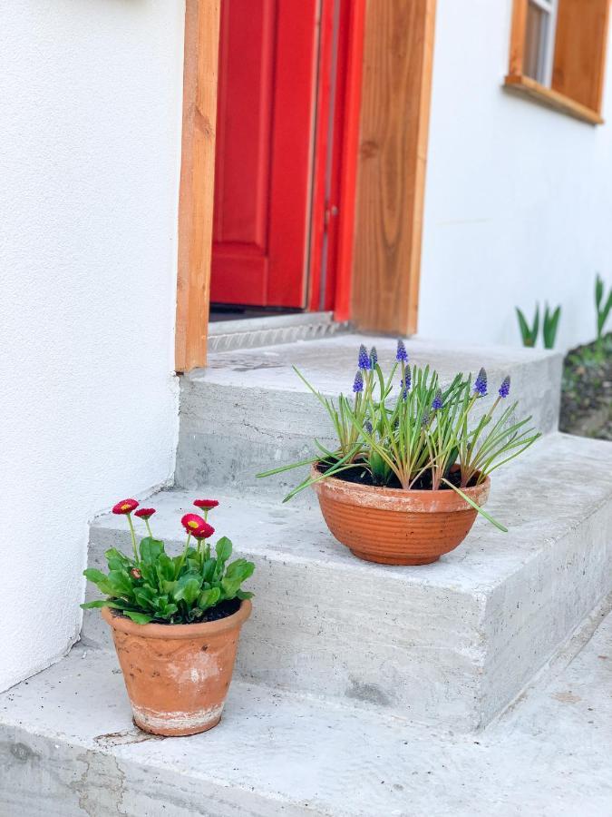 Ferienhaus Feni Neckargemund Bagian luar foto